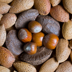 Mixed nuts in the shell