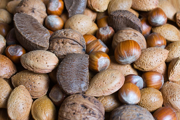 Mixed nuts in the shell