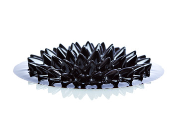 Macro of Ferrofluid on white surface