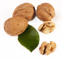 Beautiful background with walnuts and green leaves