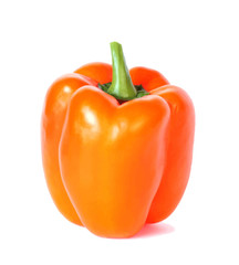 bell pepper, vector illustration