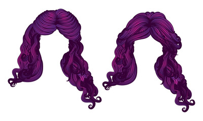 Curly hair of purple color