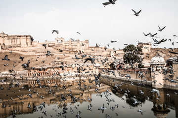 Beautiful Amber Fort near Jaipur city in India. Rajasthan