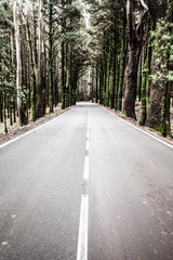 Fototapeta na wymiar Otworzyć drogę na Tenerife.Road w pięknej scenerii na Teneryfie