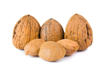 walnut isolated on the white background