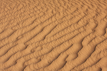 Detail of sand rippled by wind in the Sahara desert