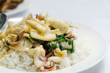 squid fried and rice