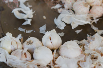 garlic