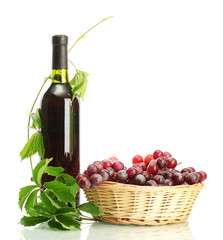 bottle of wine with grapes isolated on white