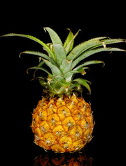 Ripe pineapple isolated on black
