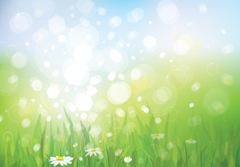 Obraz premium Vector of spring background, sky and grass.