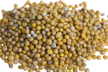 yellow mustard seeds