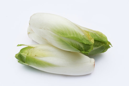 indivia belga_ sfondo bianco