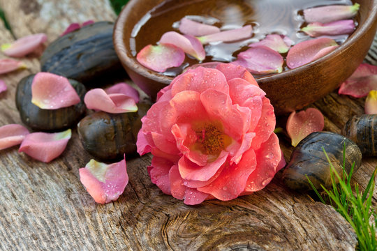 spa concept. pink flower with zen pebbles