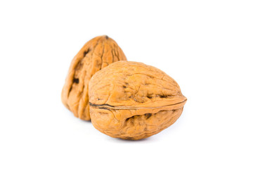 walnut isolated on the white background