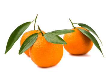 tangerines isolated