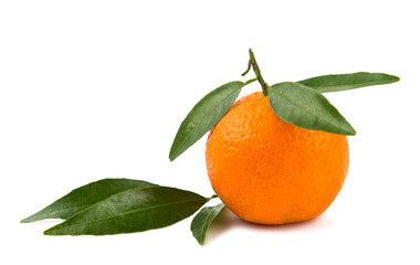 tangerines isolated