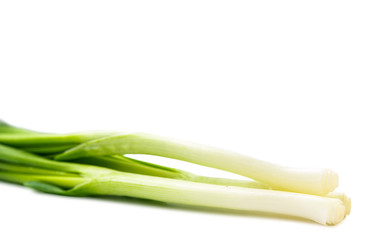 green onions isolated