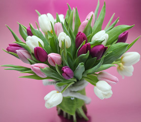 Tulpenstrauß vor violettem Hintergrund