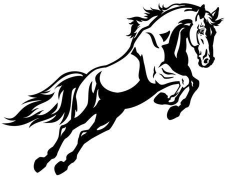 Fototapeta skaczący koń czarny biały