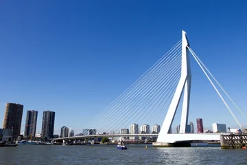 Photo sur Plexiglas Rotterdam Pont Érasme - Rotterdam