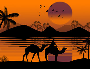 Fototapeta na wymiar Bedouin camel caravan