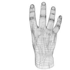 High resolution conceptual 3D cyber white wireframe human hand