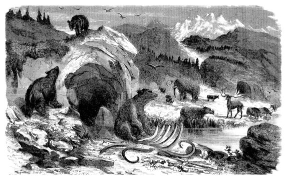 Prehistoric Scene : Mammals - Quaternary