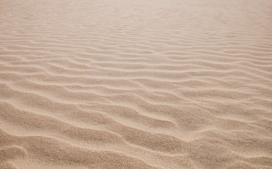 Fototapeta na wymiar rippled piasku