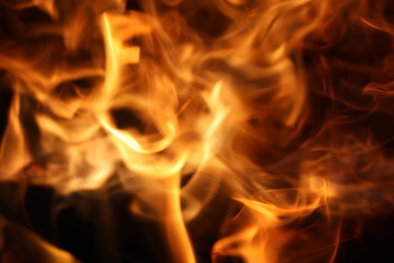 Fototapeta premium feuer