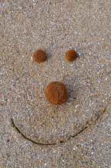 Divertida cara sonriente en la arena