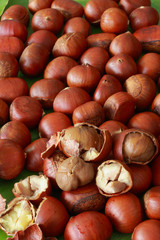 Chestnut seed background