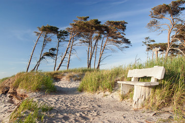 Bank am Weststrand, Prerow, Darss, Fischland, Ostsee