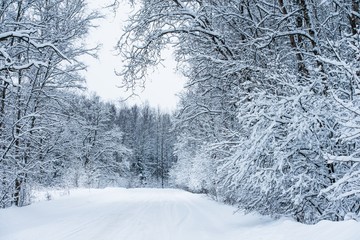 winter road