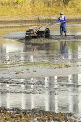 Obraz premium Thai farmer