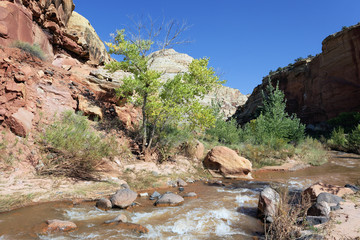 rapids of Virgin River