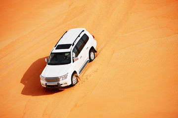4 by 4 dune bashing is a popular sport of the Arabian desert