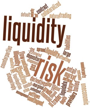 Word cloud for Liquidity risk