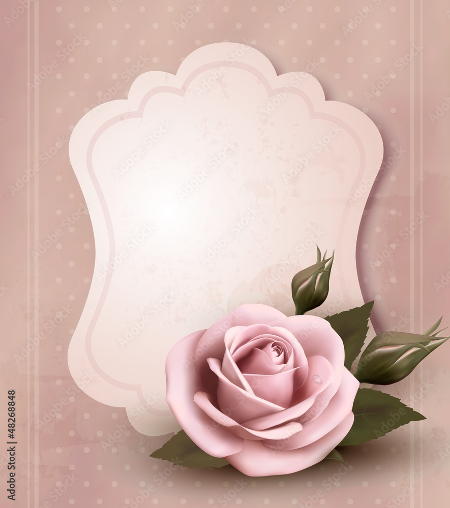 Fototapete Retro greeting card with pink rose. Vector illustration.