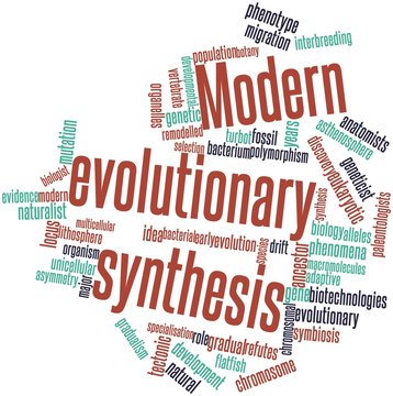 Word cloud for Modern evolutionary synthesis