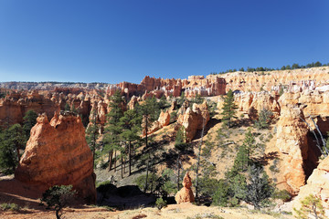 view of Bryce Canyon