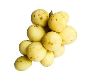 Langsat Lansium domesticum isolated