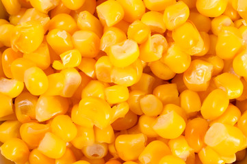Corn background