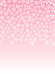 桜　春　花　ピンク　背景