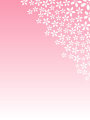 桜　春　花　ピンク　背景