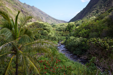 Fototapeta na wymiar Maui's 'Iao Valley