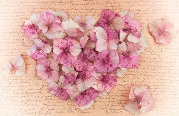 Romantic vintage hydrangea flower in the shape of a pink heart