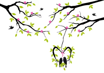 Photo sur Plexiglas Oiseaux en cages oiseaux sur arbre de printemps dans le nid de coeur, vecteur