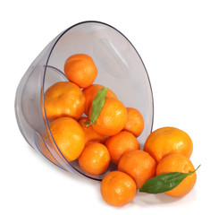 inverted bowl with tangerines