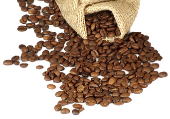 coffee beans isolate